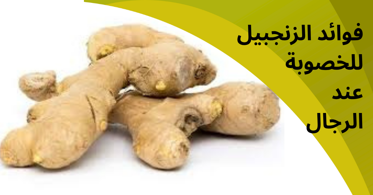 فوائد الزنجبيل للخصوبة عند الرجال
