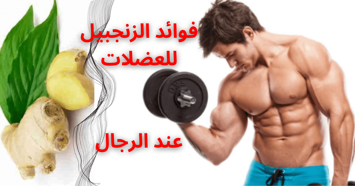 فوائد الزنجبيل للعضلات عند الرجال