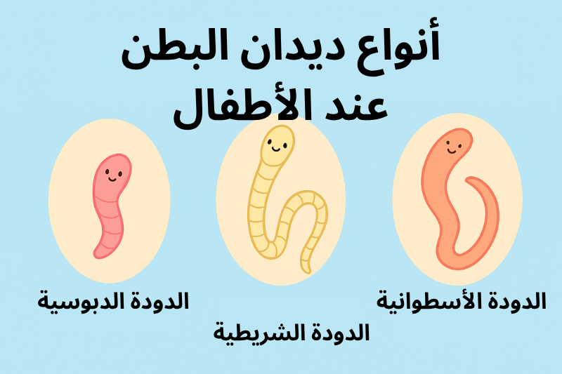 إنفوجرافيك يوضح أنواع ديدان البطن عند الأطفال
