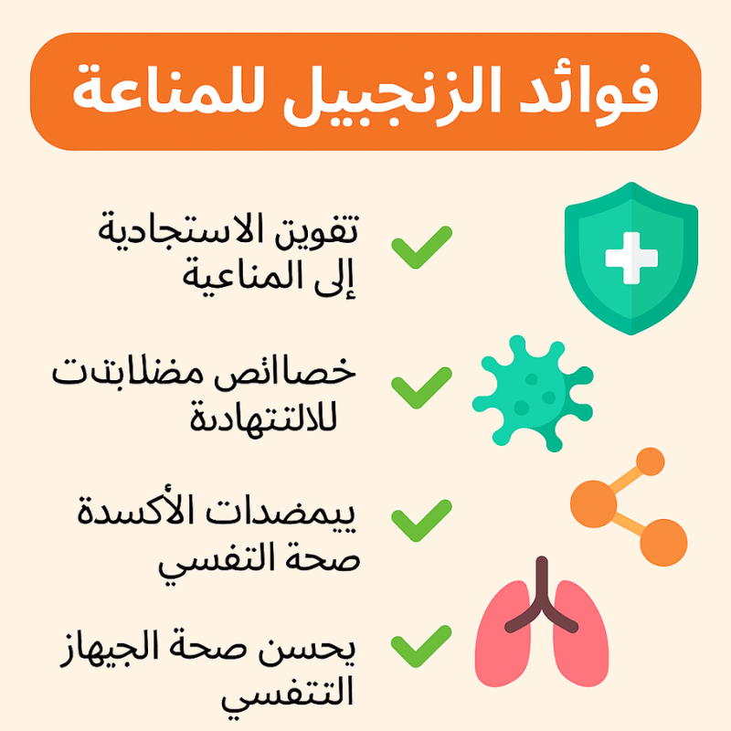 إنفوجرافيك ملون بعنوان "فوائد الزنجبيل للمناعة" يوضح أهم الفوائد الصحية مثل تقوية المناعة، تقليل الالتهابات، توفير مضادات الأكسدة، ودعم صحة الجهاز التنفسي.