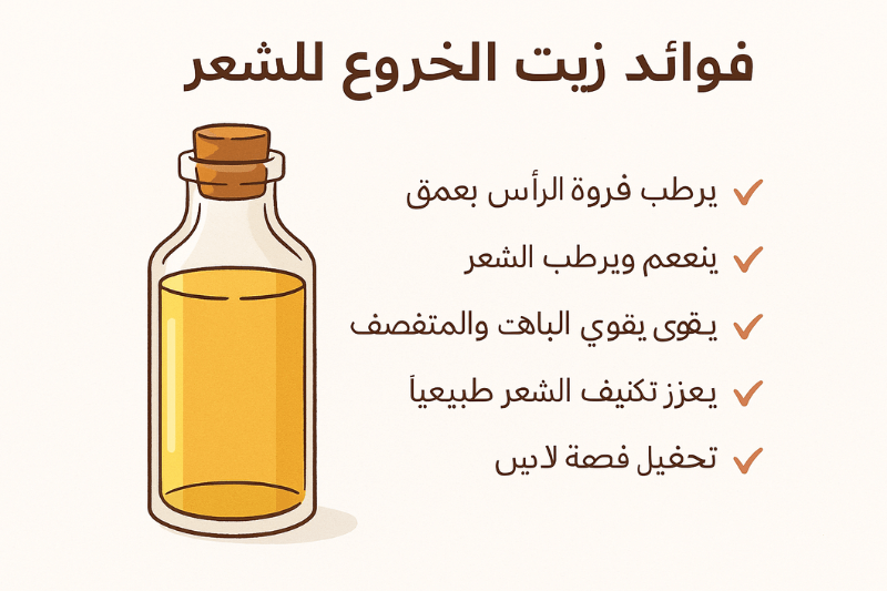 رسم توضيحي يبرز فوائد زيت الخروع للشعر، مثل تحفيز النمو، تكثيف الشعر، تقوية البصيلات، والمساهمة في علاج الصلع الوراثي.